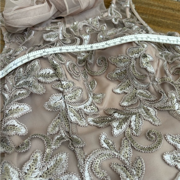 Alex Evenings Champagne Embroidered Tulle Gown - Picture 9 of 10